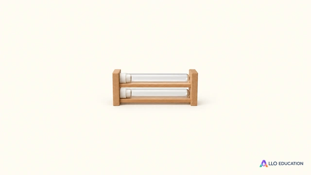 Un petit portoir de bois portant deux tubes transparents fermés, entièrement visible sur un fond clair.